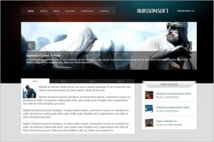 Blossomsoft is a free WordPress Theme by MOJO Themes