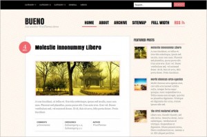 Bueno is a free WordPress Theme from Woo Themes