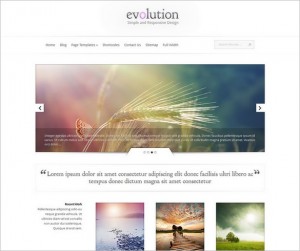 Evolution - A Responsive WordPress Theme