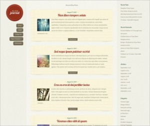 DailyJournal is a WordPress Theme by Elegant Themes