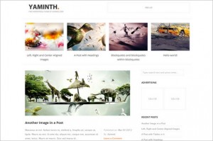 Yaminth is a free GPL WordPress Theme