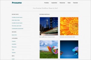 Prosume is a free WordPress Theme by Site5