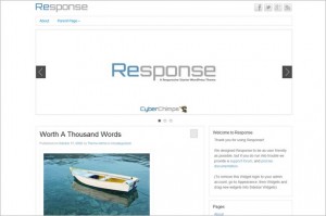 Response is a free WordPress Theme by CyberChimps.com