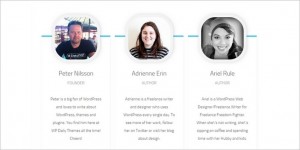 How To Make A Meet The Team Page In WordPress | WP Daily Themes